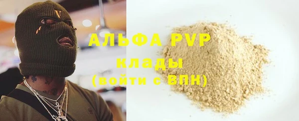 стафф Алексин