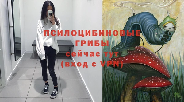 мяу мяу мука Алзамай