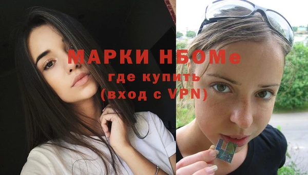 стафф Алексин