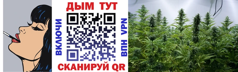 купить наркотик  Нестеров  Шишки марихуана Amnesia 